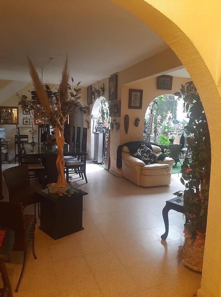 Estudio En Col Roma Sur Homestay Mexico City