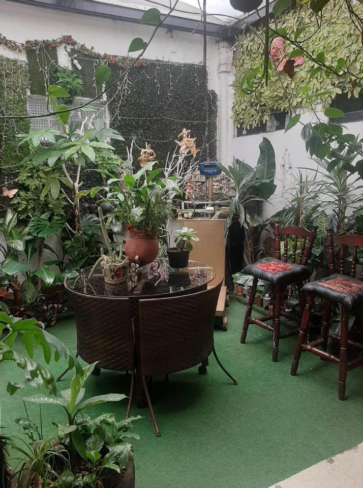 Estudio En Col Roma Sur Homestay *